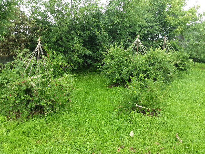 20200717_101137.jpg
