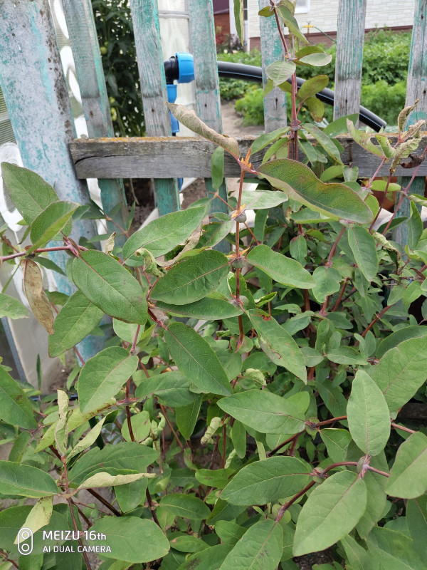 P00719-165359.jpg