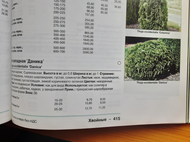 20200725_130324.jpg