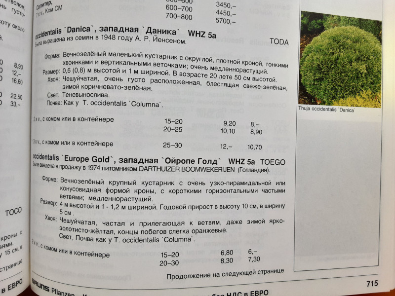 20200725_130429.jpg