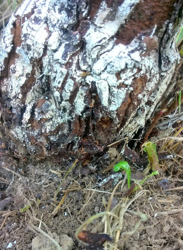 WP_20200730_17_32_50_Pro.jpg