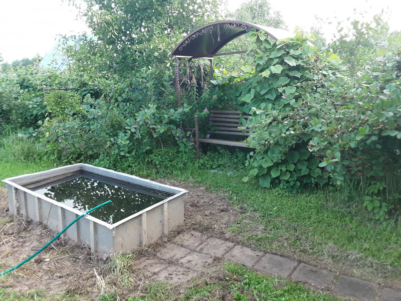 20200801_190343.jpg