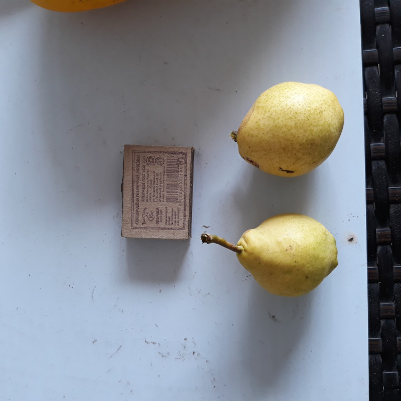 20200802_130417.jpg