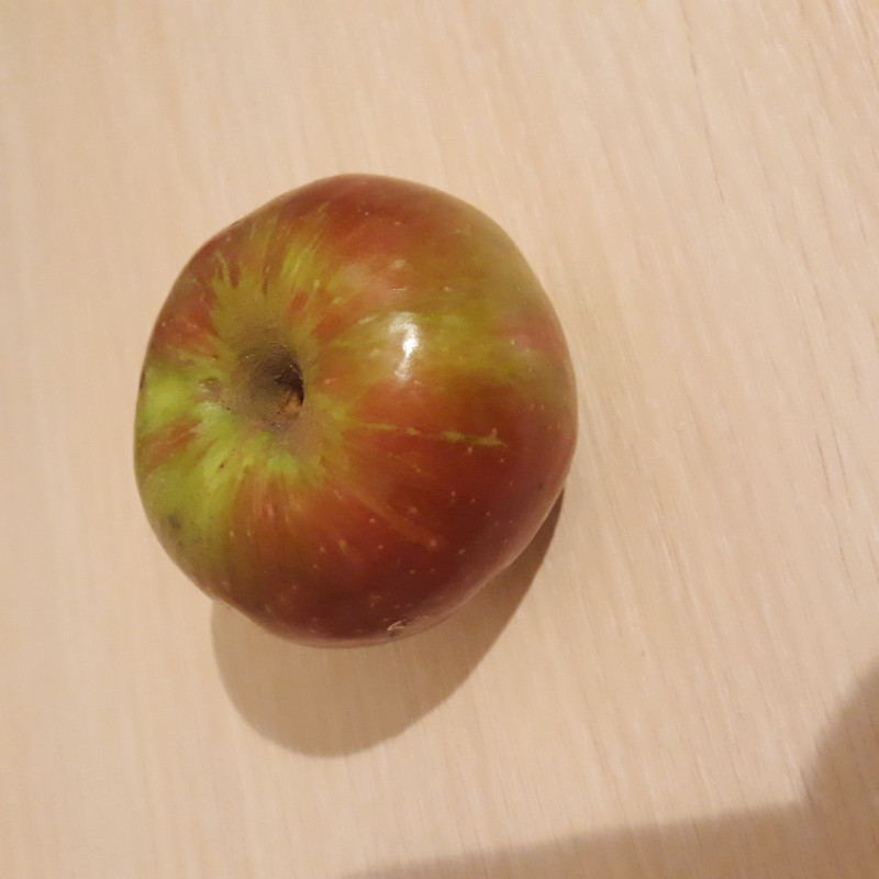 20200802_235405.jpg