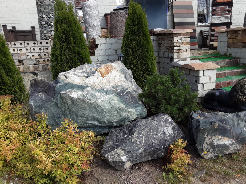 20200806_151631.jpg
