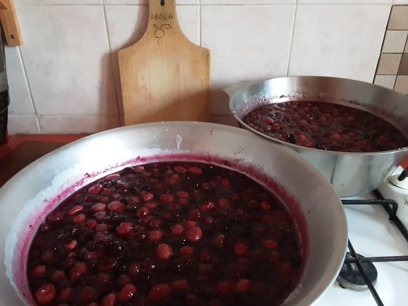 20200807_093236.jpg