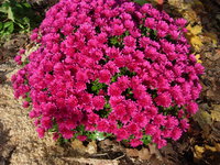 DSCN8058.JPG