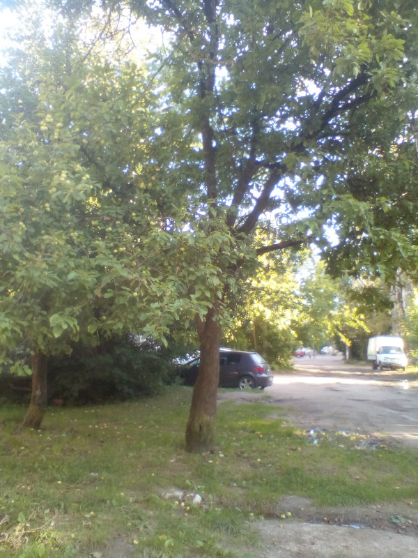 Грушовка Московская 2020 002.jpg