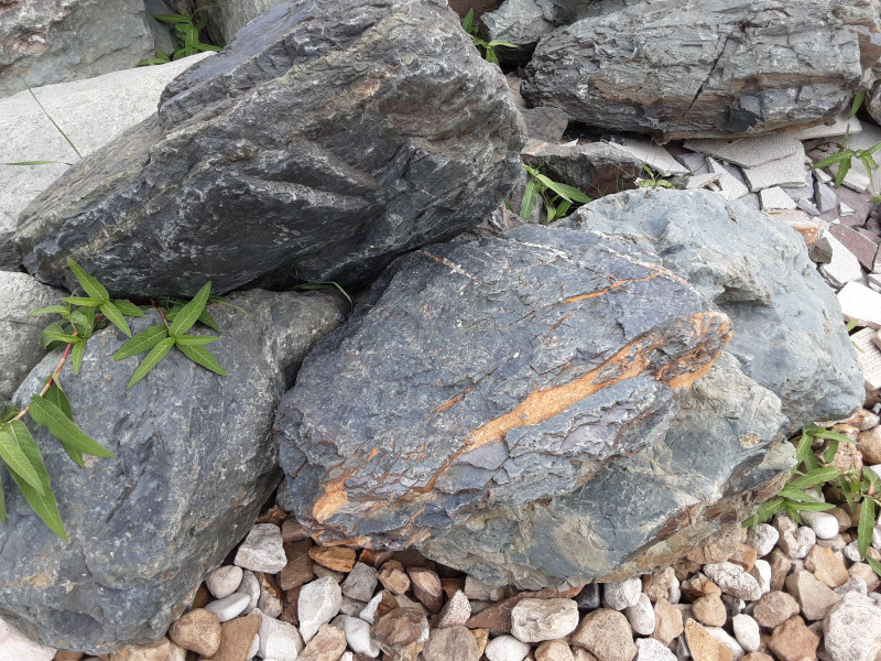 20200808_120547.jpg