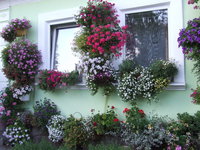 DSCF5820.JPG