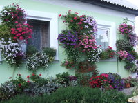 DSCF5809.JPG