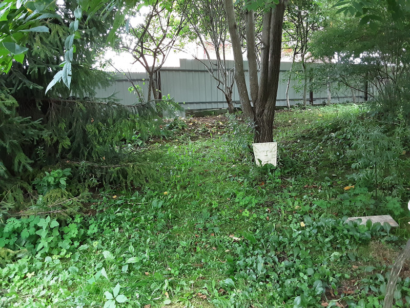 20200811_173449.jpg