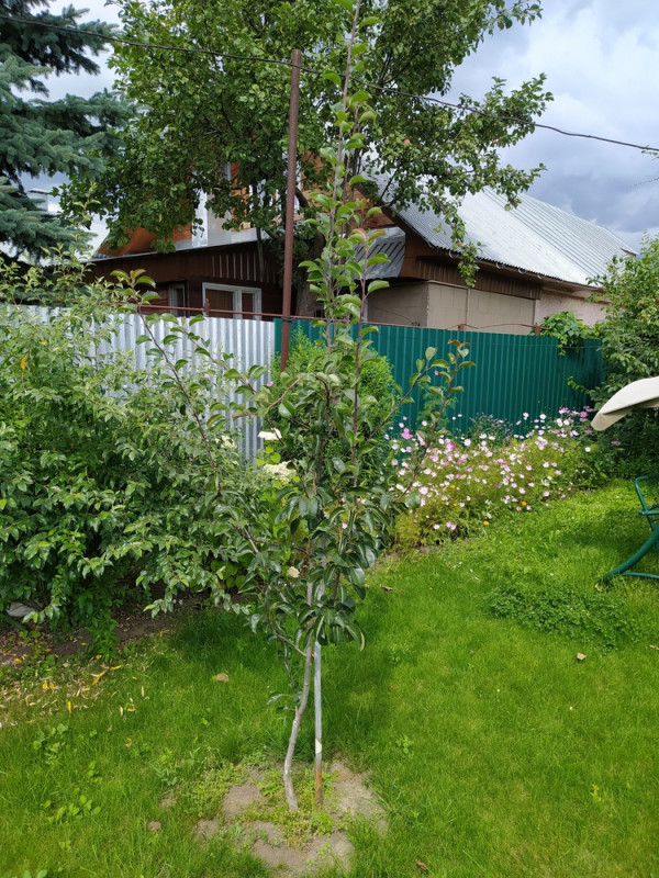 БК_2020-07-15.jpg