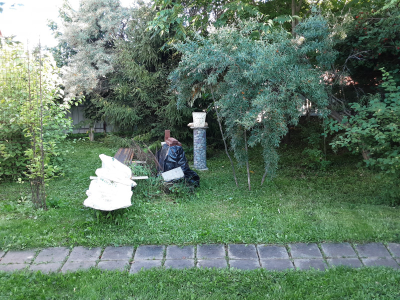 20200817_180213.jpg