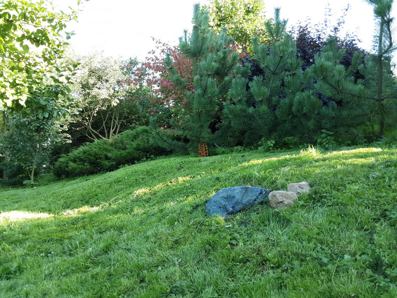 20200817_173715.jpg