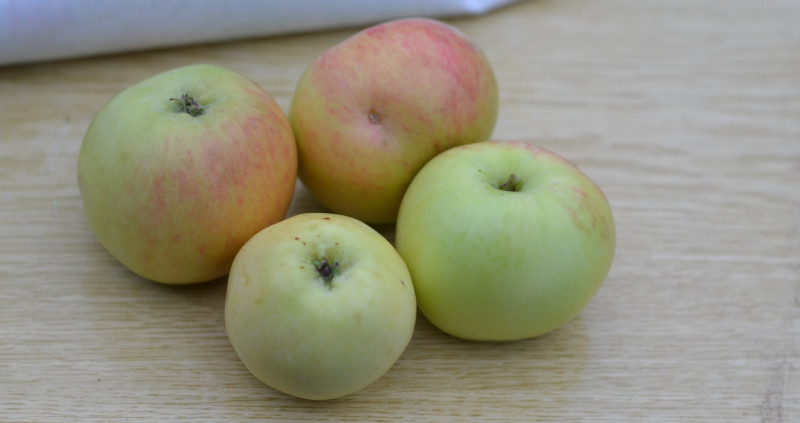 DSC_1281.JPG
