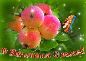 prekrasnaya-otkrytka-yablochnyy-spas-68773.gif