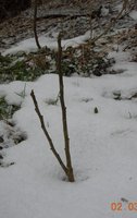DSCN1752.JPG