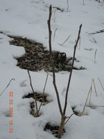 DSCN1753.JPG