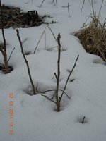 DSCN1754.JPG