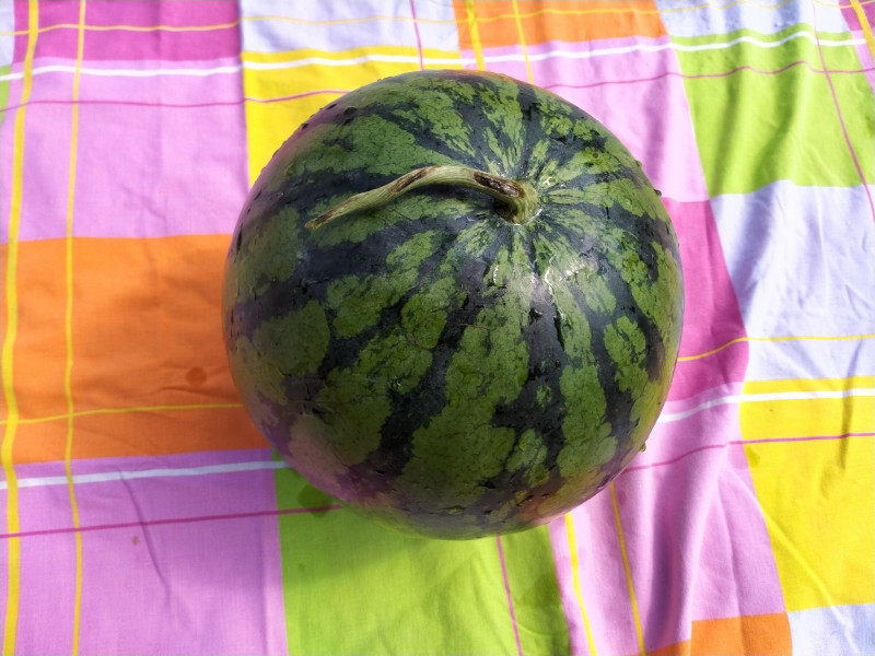 IMG20200822110916.jpg