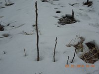 DSCN1755.JPG