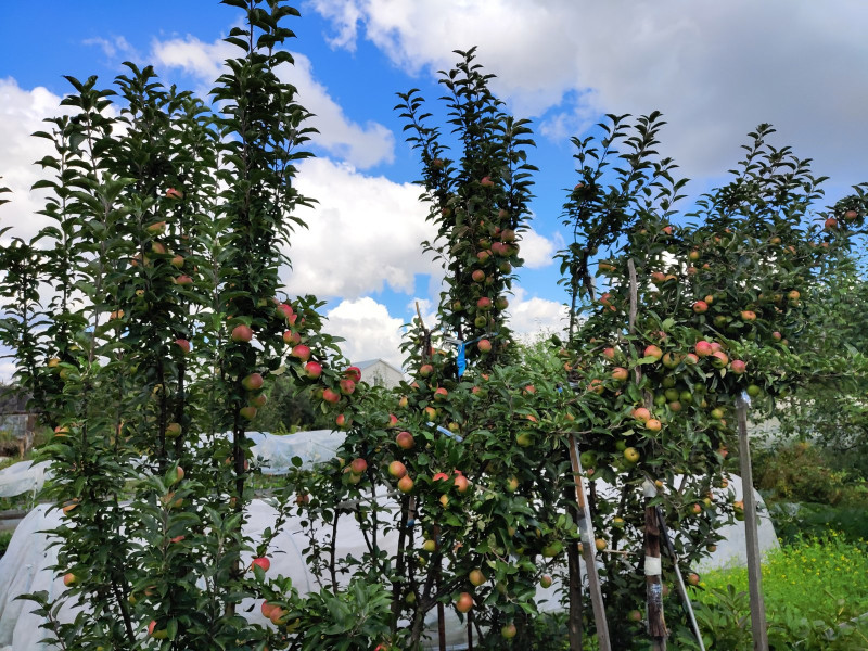 P00822-120146.jpg