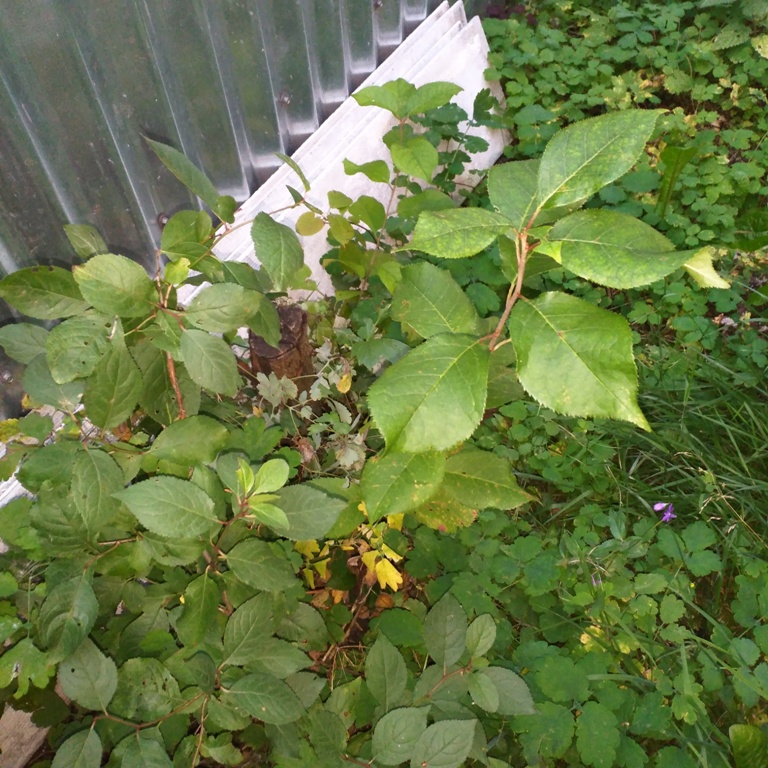 IMG_20200901_190717.jpg