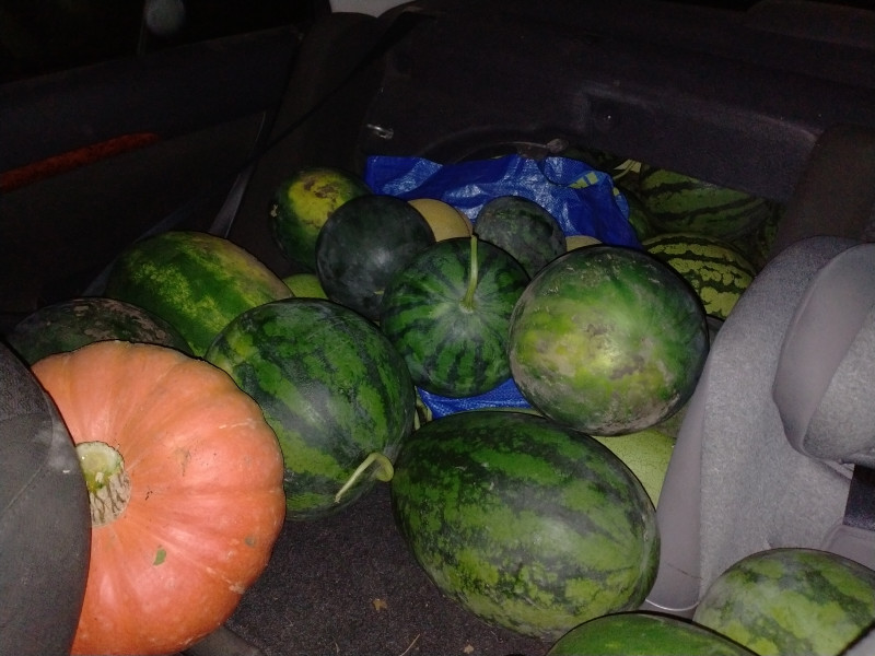 IMG20200903224155.jpg