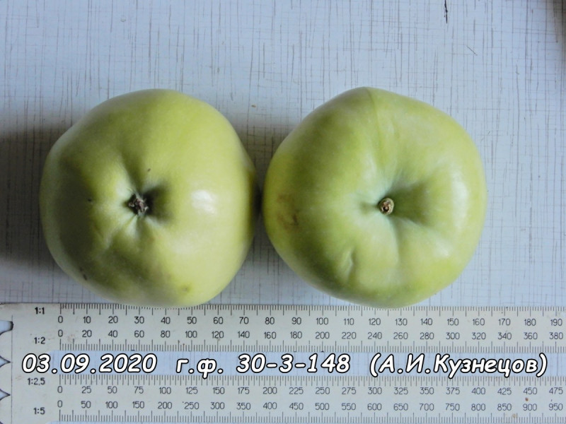 DSCN1154.jpg