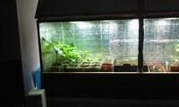 IMAG0120.jpg