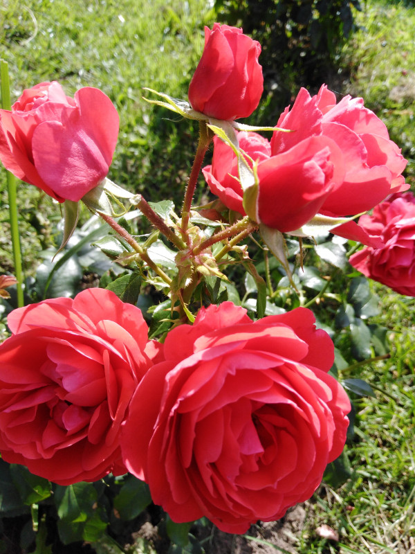 IMG_20200902_101638.jpg