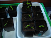 DSCN7163.JPG