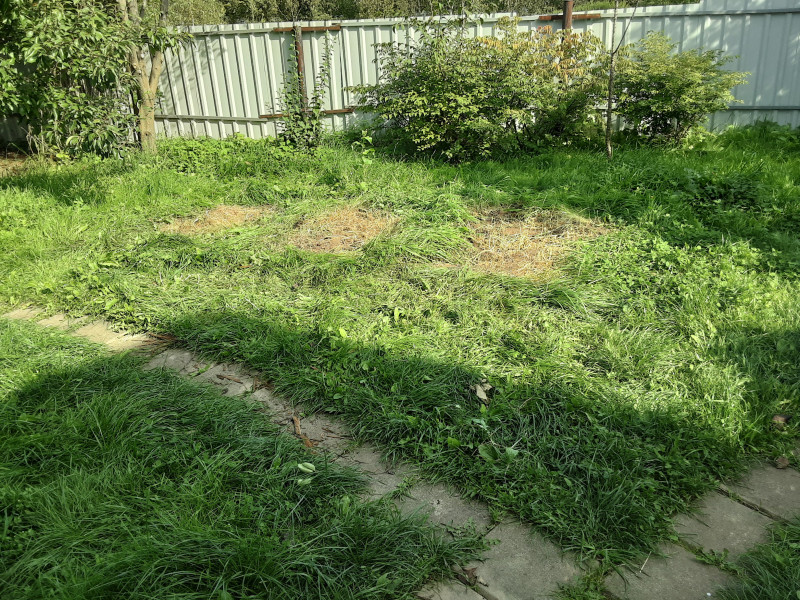 20200906_112035.jpg