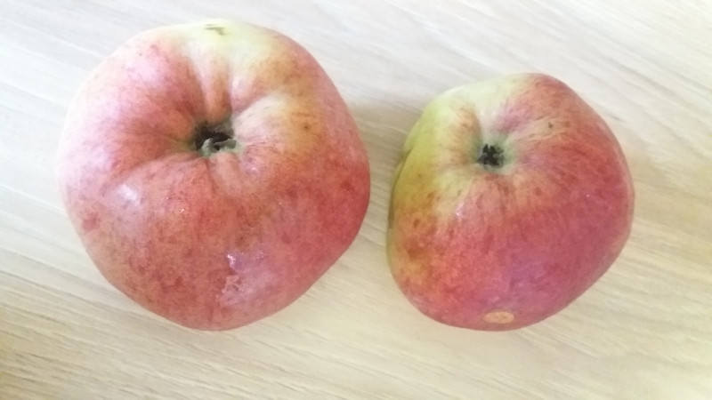 20200908_081417.jpg
