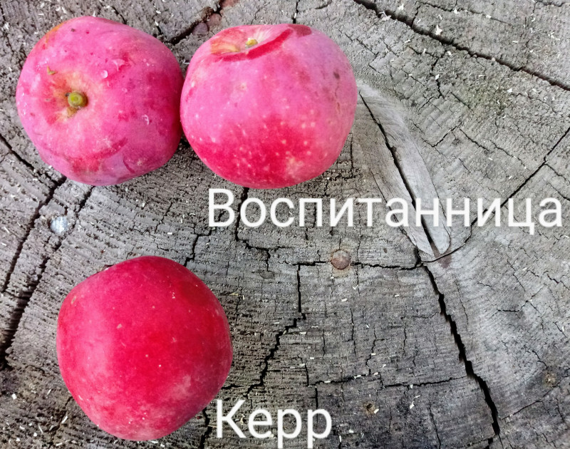 20200909_183412~2-1.jpg