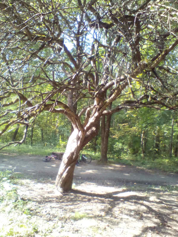 Коробовка  2020 002.jpg