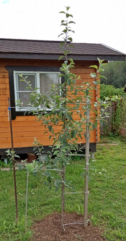16.08.2020г..jpg