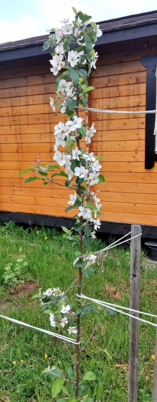 06.06.2020г..jpg