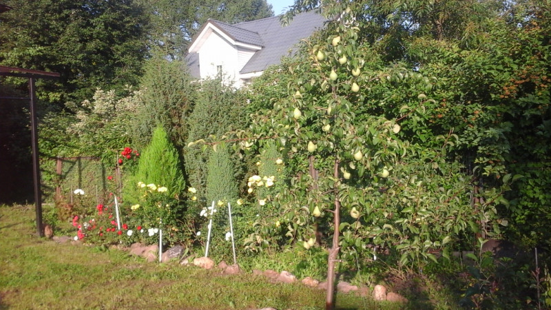 20190728_063726.jpg