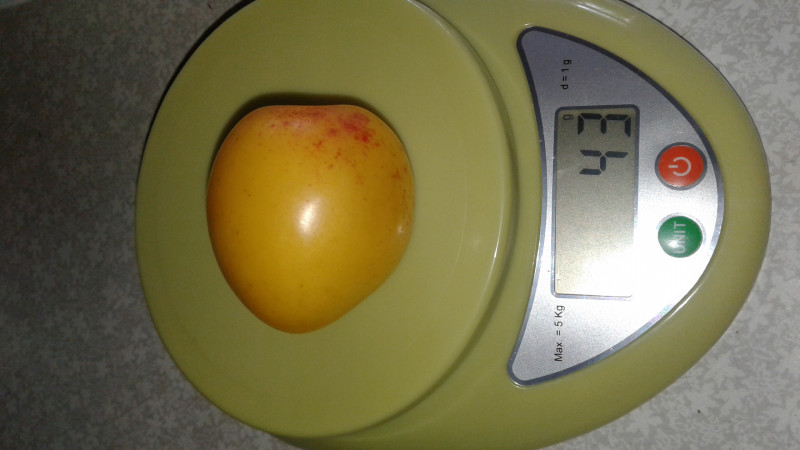 20200914_143059.jpg