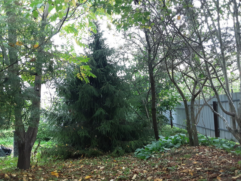 20200917_074200.jpg