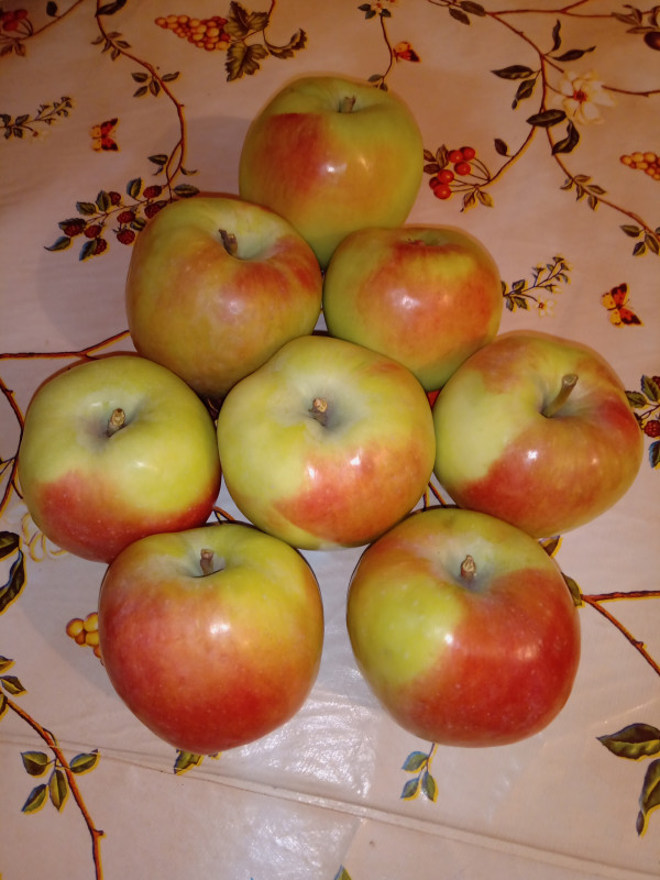 IMG_20200919_184906.jpg