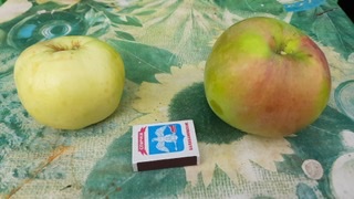 4C5020FA-6675-405E-AECA-1ED0B2F99888.jpeg