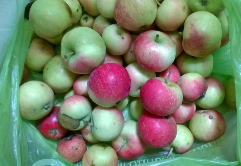 WP_20200926_20_33_44_Pro.jpg