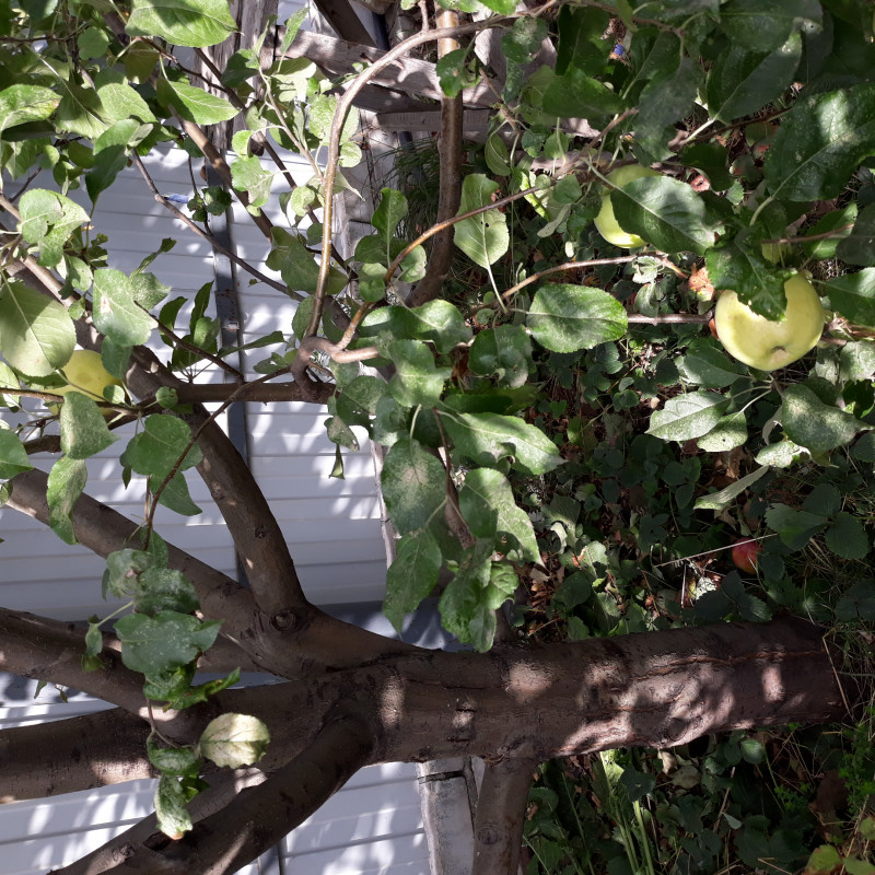 20200928_095631.jpg
