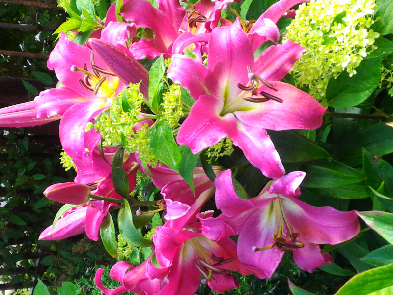 P_20200802_140305.jpg