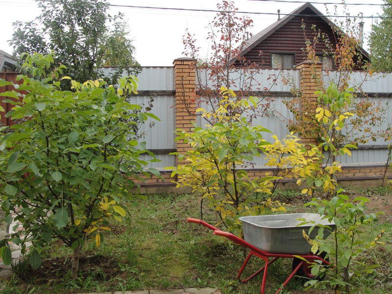 DSC07116.JPG