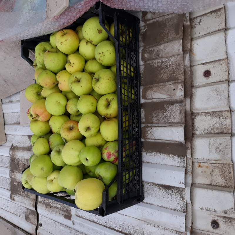 20201001_144134.jpg