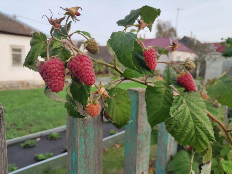 P01003-161650.jpg